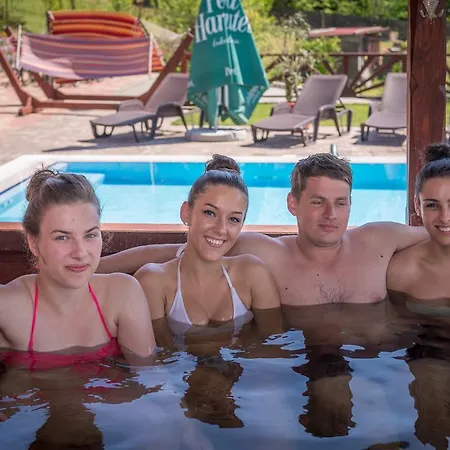 Nemeth Konukevi Sovata
